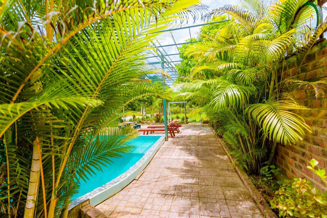 Phong Nha Amanda 2 Homestay Экстерьер фото